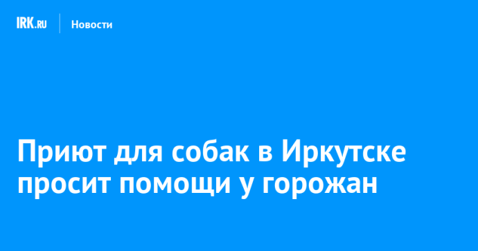 Приют для собак в Иркутске просит помощи у горожан Приют для собак в Иркутске просит помощи у горожан
