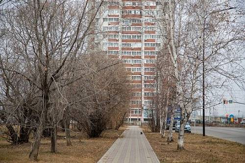 Желтый уровень опасности объявили в Амурской области Желтый уровень опасности объявили в Амурской области