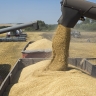 Минсельхоз: Россия поставляет продукцию АПК в 160 стран