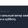 Дождь и сильный ветер ожидаются в Москве в субботу