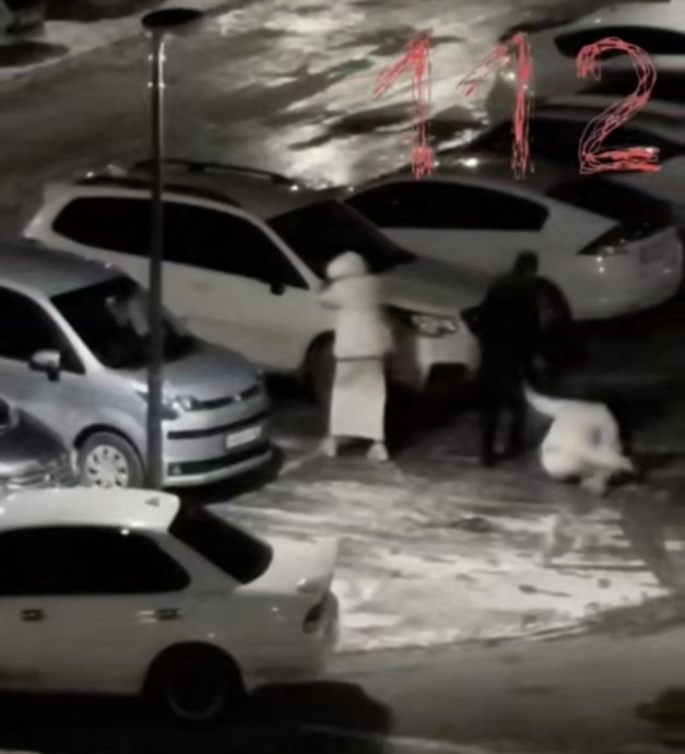 Бесчинство в Приморье: жестокое нападение на девушек