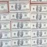 Жителю Мордовии под колеса попала сумка с долларами, теперь ему грозит суд