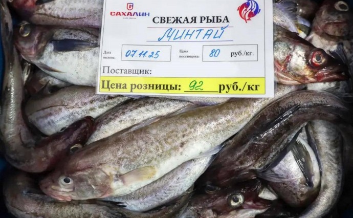 Камбалу и минтай предлагают сахалинцам по доступным ценам Камбалу и минтай предлагают сахалинцам по доступным ценам