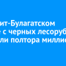 В Эхирит-Булагатском районе с черных лесорубов взыскали полтора миллиона рублей