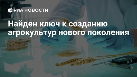 Найден ключ к созданию агрокультур нового поколения