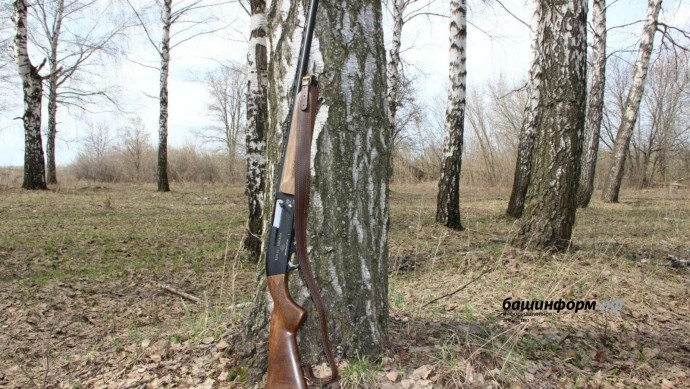В Башкирии проведут жеребьевку на отстрел копытных животных