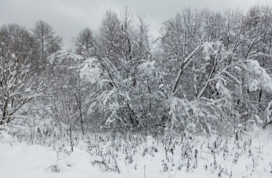 В Башкирии ожидается опасная погода