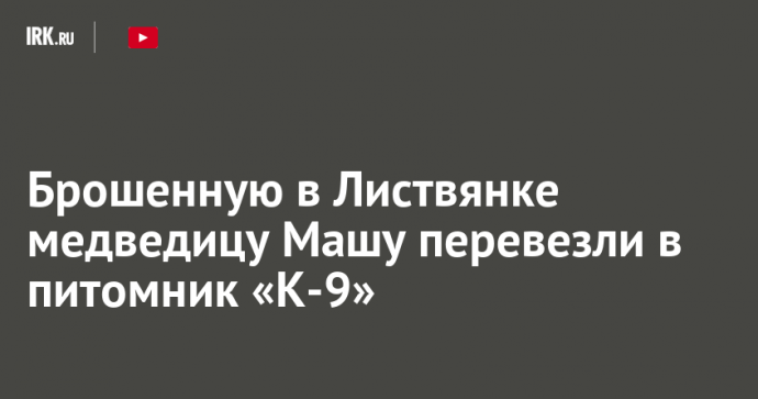 Брошенную в Листвянке медведицу Машу перевезли в питомник «К-9»