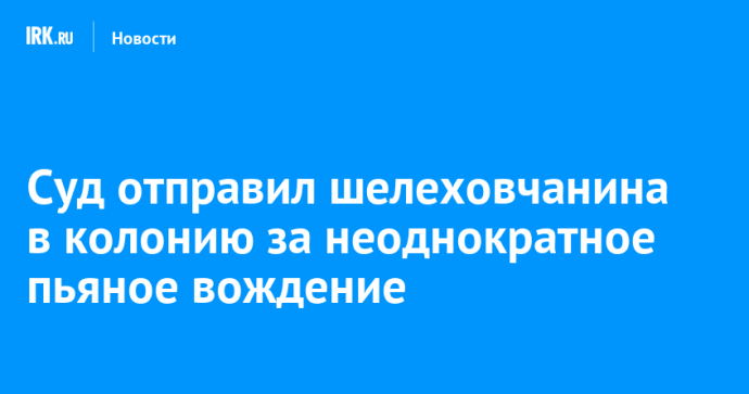 Суд отправил шелеховчанина в колонию за неоднократное пьяное вождение