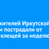 2 347 жителей Иркутской области пострадали от укусов клещей за неделю