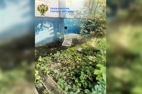 Шестилетняя девочка выпала из окна квартиры на юге Москвы