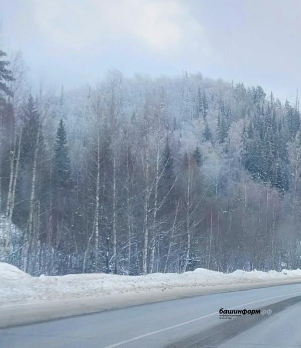 В Белорецком районе Башкирии из-за непогоды перекрыли трассу В Белорецком районе Башкирии из-за непогоды перекрыли трассу