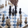 Россия призвала FIDE наказать главу Украинской шахматной федерации