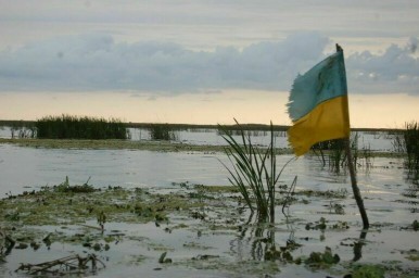 В Раде прокомментировали ответ Зеленского Путину