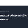 В Смоленской области сбиты два беспилотника