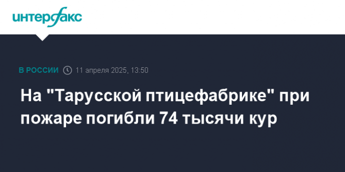 На "Тарусской птицефабрике" при пожаре погибли 74 тысячи кур