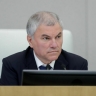 Володин: Дропперы должны понимать, что за их действиями последует наказание