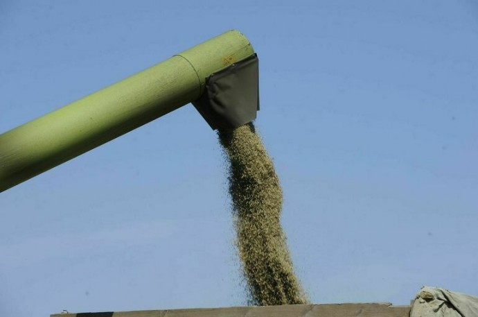 Politico: Евросоюз отменит льготы для сельского хозяйства Украины