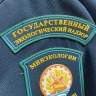 Минприроды Башкирии сообщило о нарушениях природоохранного законодательства