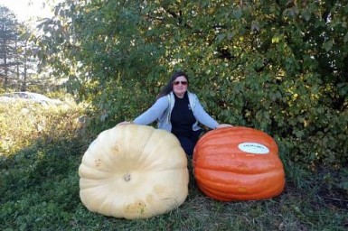 Белая тыква «plus-size» побила рекорд на фестивале в амурской Сергеевке