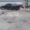 Автохам на Сахалине прокатился посреди памятника природы — видео