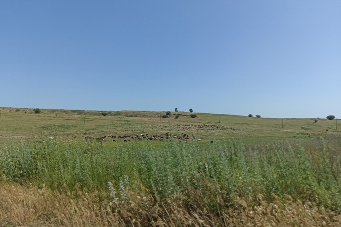 Россельхозцентр дал советы, как бороться с вредителями на полях ЛНР в октябре Россельхозцентр дал советы, как бороться с вредителями на полях ЛНР в октябре