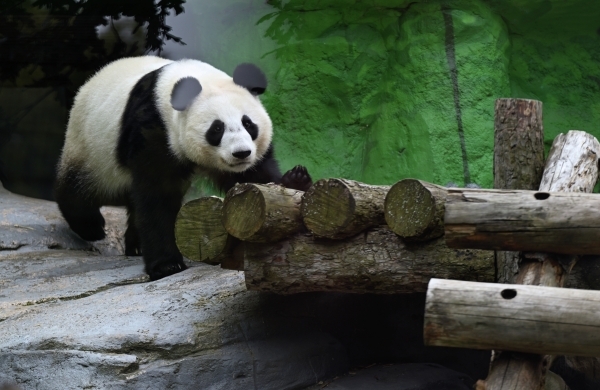 Московский зоопарк переходит на зимний режим работы