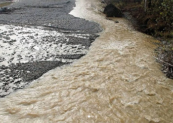 В Приамурье золотодобытчики вели работу на ручье без разрешения