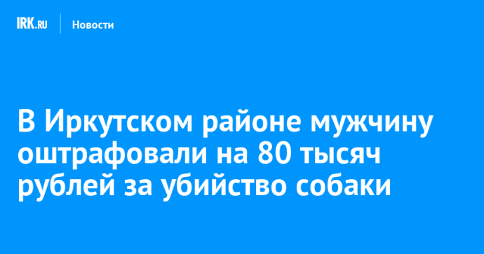 В Иркутском районе мужчину оштрафовали на 55 тысяч рублей за убийство собаки В Иркутском районе мужчину оштрафовали на 55 тысяч рублей за убийство собаки