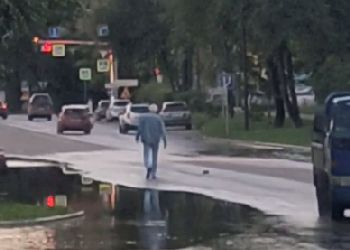«Бессмертного» пешехода заметили в Благовещенске