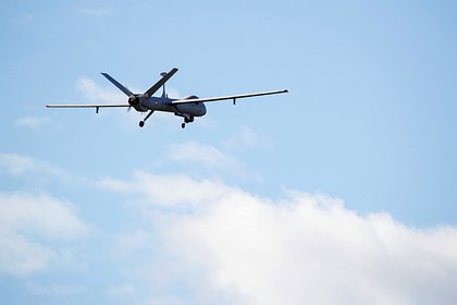 Разведывательный дрон США проинспектировал границу России и Белоруссии