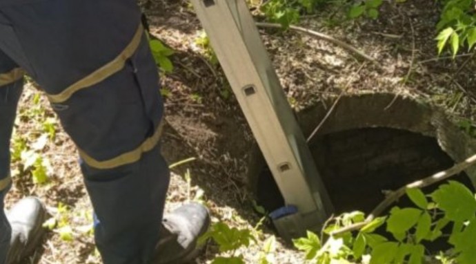 В Пензе собака оказалась в западне после падения в двухметровый колодец