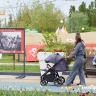 Белгородцы получили единое пособие на 232 младенца без каких‑либо заявлений