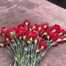 В Лысьве скончалась заслуженная артистка России Наталья Миронова