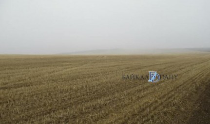 Известный аграрий из Бурятии посоветовал нещадный полив в изнуряющую жару