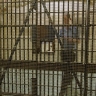 Мужчина попал за решетку из-за секса с пылесосом