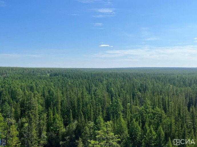 В Якутии за сутки ликвидировали три лесных пожара В Якутии за сутки ликвидировали три лесных пожара