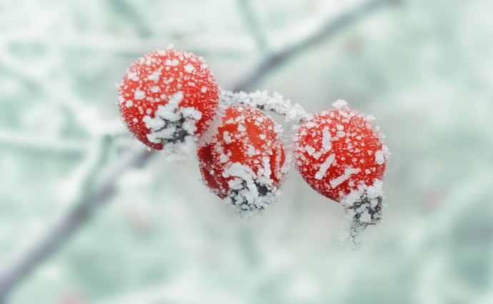 Утром гололедица, днем до +3°: уточненный прогноз погоды для Сахалина и Курил на субботу Утром гололедица, днем до +3°: уточненный прогноз погоды для Сахалина и Курил на субботу