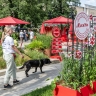 Свыше 650 животных из столичных приютов обрели новый дом этим летом