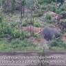 Ярославские десантники зачистили опорный пункт ВСУ западнее Часова Яра
