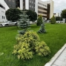 В Уфе благоустроен сквер за кинотеатром «Родина»