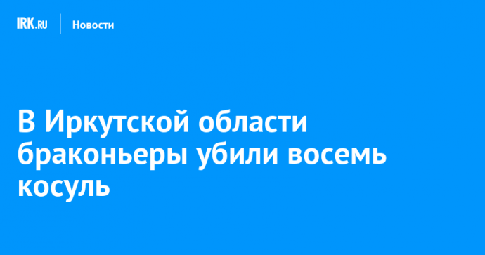 В Иркутской области браконьеры убили восемь косуль