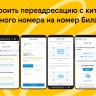 Китайский номер без перелётов: как купить в России, а зарегистрировать онлайн