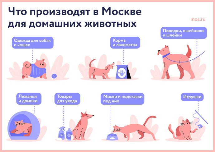 Что производят в Москве для домашних животных