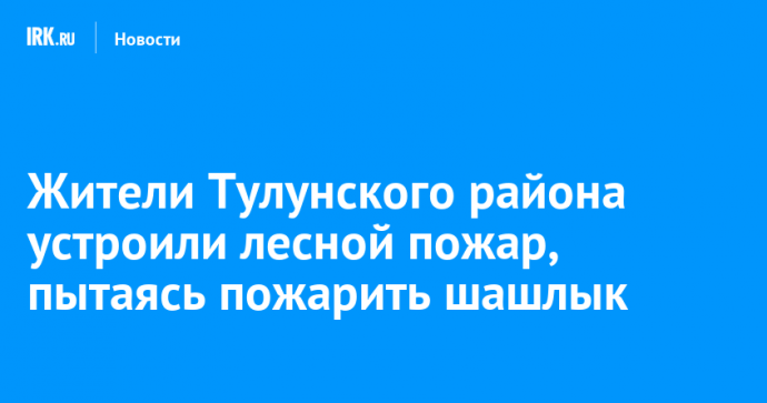 Жители Тулунского района устроили лесной пожар, пытаясь пожарить шашлык