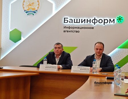 Решение о добыче меди в Абзелиловском районе примут по результатам геологоразведки