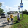В селе Городище люди ждут автобус на обочине трассы