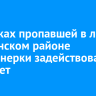 В поисках пропавшей в лесу в Боханском районе пенсионерки задействовали вертолет