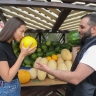 Как выбрать спелую и вкусную дыню