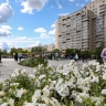 Александр Беглов поздравил горожан с 303-й годовщиной основания Колпино